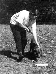 Demonstration of stick-fetch