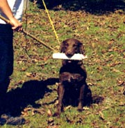 Tapping the dummy with a stick